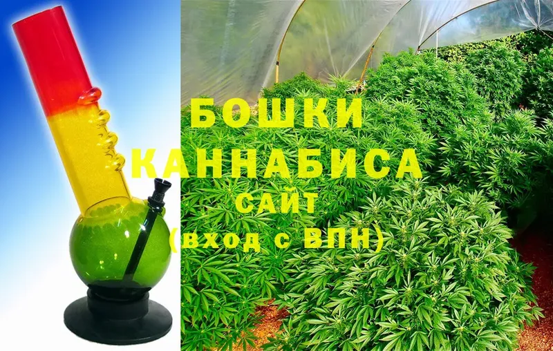 Бошки марихуана SATIVA & INDICA  кракен вход  Краснознаменск 